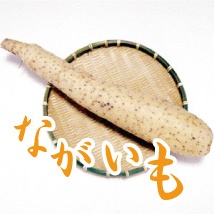 十和田美人野菜 長芋ギフトセット 3kg(3～4本)