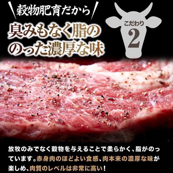 超特大！通常のステーキ3枚分！牛肩ロース 熟成肉 1ポンド ステーキ （450g） ［A冷凍］