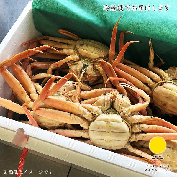 越前かに 福井県産越前ガニ（小）　タグ付き 茹で 400g〜500g　カニ　国産 蟹　冷蔵（クール便）