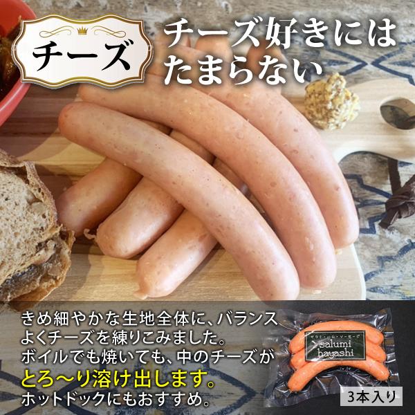 バーベキュー ソーセージ ベーコン 5種類 北海道産豚肉100% BBQ お取り寄せグルメ 冷蔵 送料無料 ギフト 贈答品 お歳暮 御歳暮 クリスマス