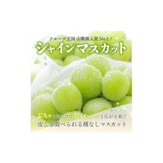 ふるさと納税 山梨県 富士吉田市 ジューシー で 甘さ 抜群 池田青果 の 厳選 シャインマスカット と 黒ぶどう セット(約1kg) シャインマスカット 黒ブドウ 山…