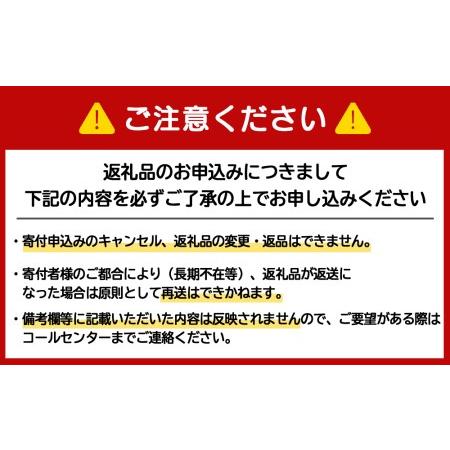 ふるさと納税 味噌汁 インスタント 減塩 みそ汁 徳用 即席 4種 22食入 スープ 2袋 セット《千歳工場製造》 北海道千歳市