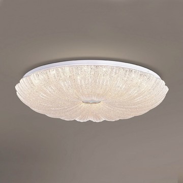 96W 單色吸頂燈 L01-2411B