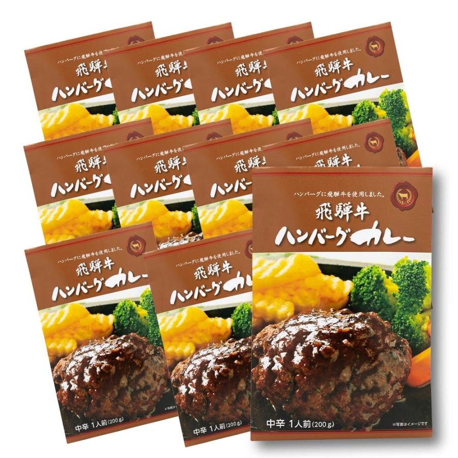 飛騨牛 ハンバーグカレー　10食セット＋１食サービス レトルト　まとめ買い