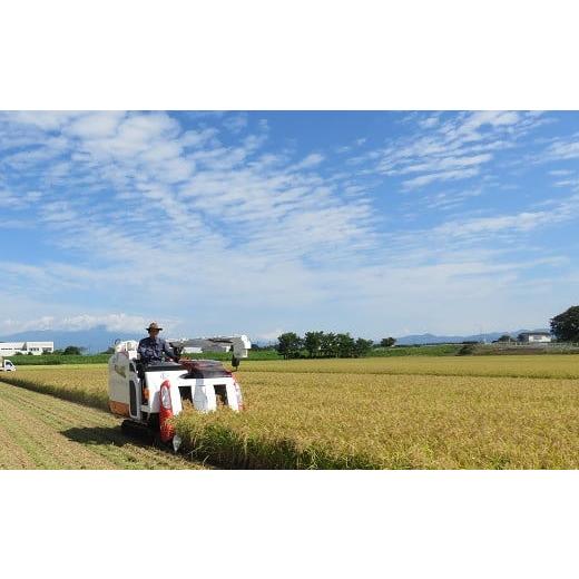 ふるさと納税 山形県 三川町 山形ゆりあふぁーむのおすすめ特別栽培米セット