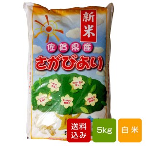 さがびより 白米 5kg コメ 米 一等米 佐賀県産令和4年産