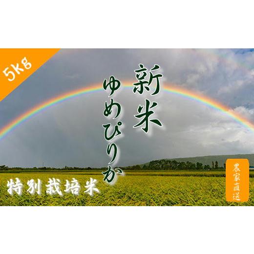 ふるさと納税 北海道 増毛町 5-010-080　新米・増毛町産特別栽培米・ゆめぴりか5kg