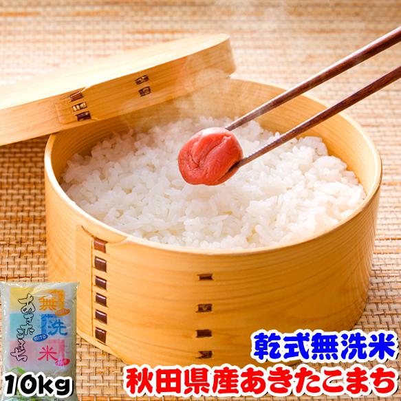 新米 10kg(5kgx2) 無洗米 秋田県産 あきたこまち 米 令和5年産 内のし対応 贈り物