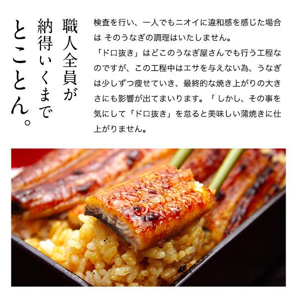 送料無料 うなぎ屋かわすい 国産 きざみうなぎ 大盛りタイプ 100g 複数購入クーポンあり ウナギ 鰻