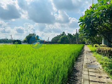 屏東市近瑞光路農地3-H｜屏東縣屏東市福正段