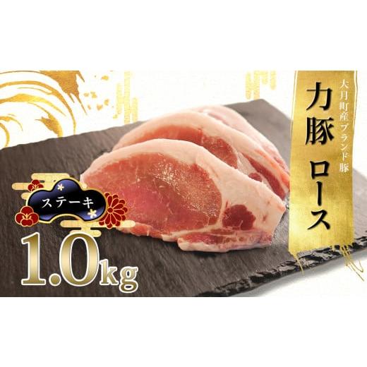 ふるさと納税 高知県 大月町 力豚ロース　ステーキ用1kg