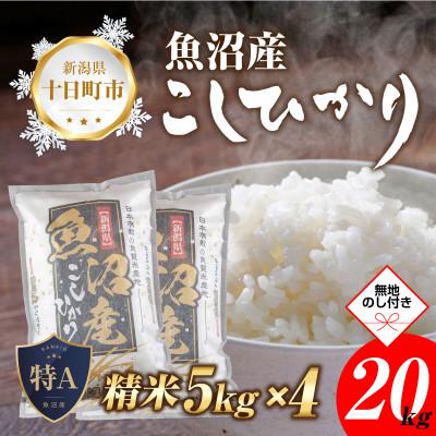 ふるさと納税 十日町市  魚沼産 コシヒカリ 20kg  美味しい炊き方ガイド付き