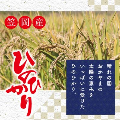 ふるさと納税 笠岡市 玄米 岡山県産ひのひかり 笠岡産 120kg太陽の恵み O-2_120k