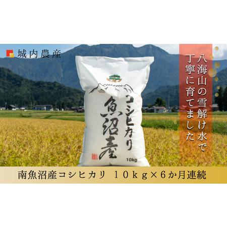 ふるさと納税 新米　令和５年産 南魚沼産コシヒカリ　白米１０ｋｇ＜５割減農薬栽培米＞　城内農産 新潟県南魚沼市