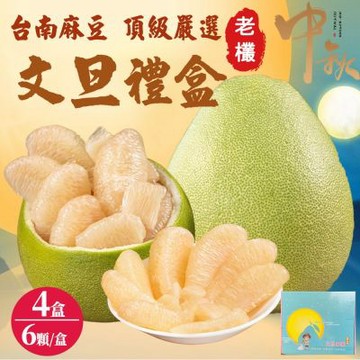 【初品果】台南麻豆頂級老欉文旦禮盒5斤6-8顆x4盒(小果)
