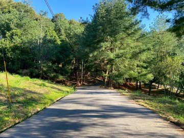 東勢梨之鄉｜6米路有平台｜景觀視野休閒農地｜台中市東勢區東勢段中嵙小段