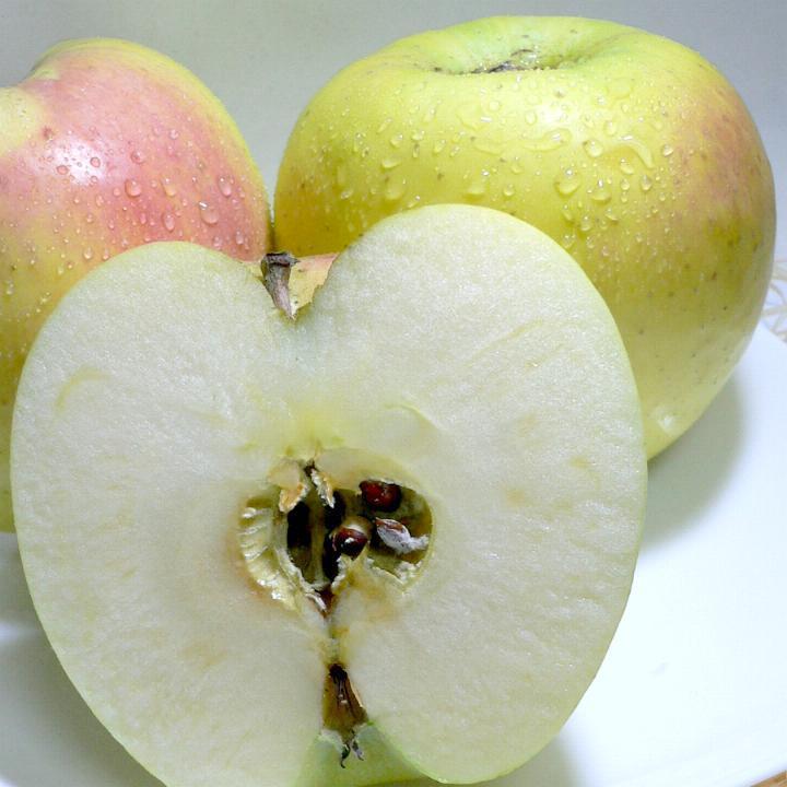 ぐんま名月りんご めいげつ 約10kg 中玉 36〜40個入り 青森産 ※甘い林檎ですが蜜入り保証はいたしかねます|群馬名月 リンゴ アップル 林檎 明月 １０キロ