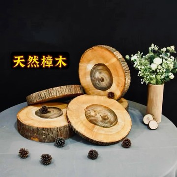 苔鑽🍀天然樟樹 龍柏 原木片/微香味/植物上板材料/蕨類上板材料/隔熱墊/拍照道具/居家飾品/盆栽/造景/空氣清淨
