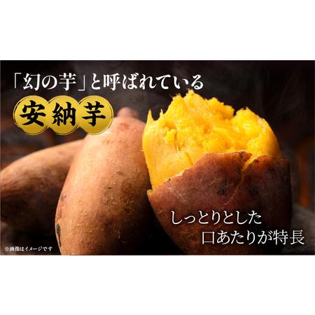 ふるさと納税 安納石焼芋　10袋セット 石焼芋 さつまいも デザート 宮崎県宮崎市