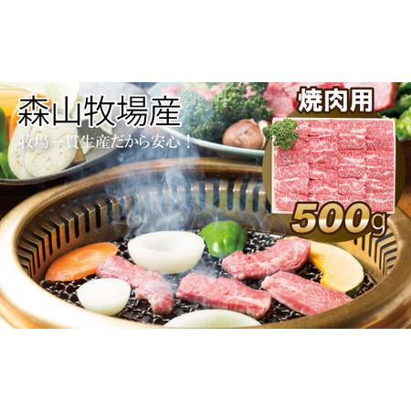 ふるさと納税 森山牧場 焼肉セット（500g) B135-004 佐賀県小城市