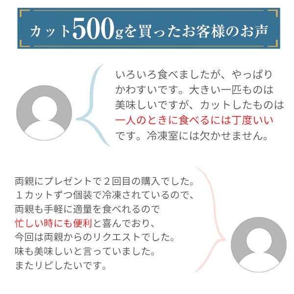 うなぎ 蒲焼き 国産 カット大盛り500g ウナギ 鰻 蒲焼 送料無料