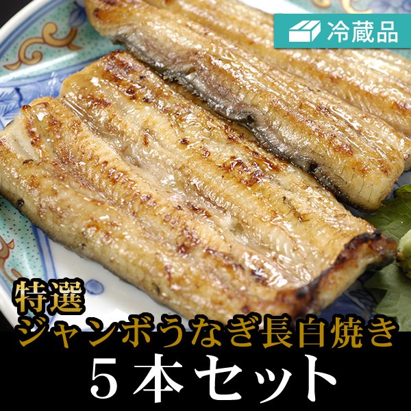 冷蔵特選うなぎ長白焼きジャンボ5本セット