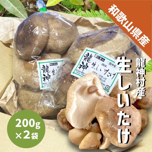 和歌山県産 龍神村産 生しいたけ 約400g 椎茸 焼き シイタケ 龍神椎茸 鍋 天ぷら 煮物