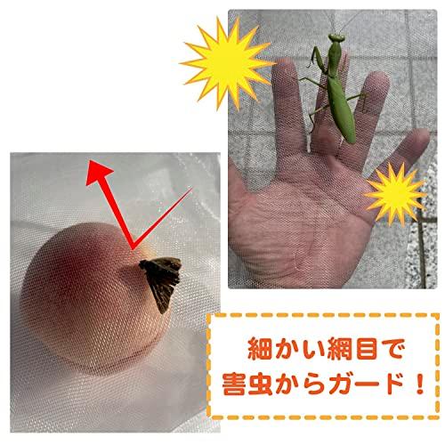 ASPALAND 果物 果実 防虫 巾着 袋 保護 ネット 植物 フルーツ 鳥よけ 網 メッシュ 光 通過 農業 園芸 (35cm×25cm 50 枚セット)