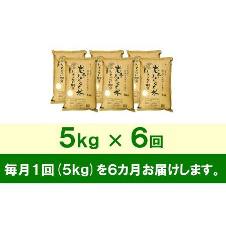 ふるさと納税 3人に1人がリピーター! ☆全6回定期便☆ 岩手ふるさと米 5kg×6ヶ月 令和5年産 新米 一等米ひとめぼれ 東北有数のお米の産地 .. 岩手県奥州市