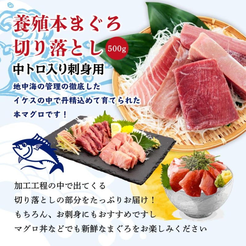 新洋水産] まぐろ 養殖本まぐろ切り落とし中トロ入り(刺身用) 500g /本マグロ/赤身/養殖/刺身/丼/冷凍/冊/一品/アレンジ/生簀/  まぐろの館 松榮丸 LINEショッピング