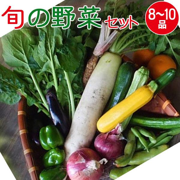 産地直送 旬の野菜セット(8〜10品目)有機質肥料 野菜 詰め合わせ 奈良 和歌山 三重 送料無料