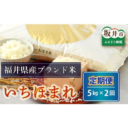 ふるさと納税 さんさん池見二代目がお届けする 福井県産いちほまれ 5kg × 2回 計10kg（5分づき） [B-0210.. 福井県坂井市