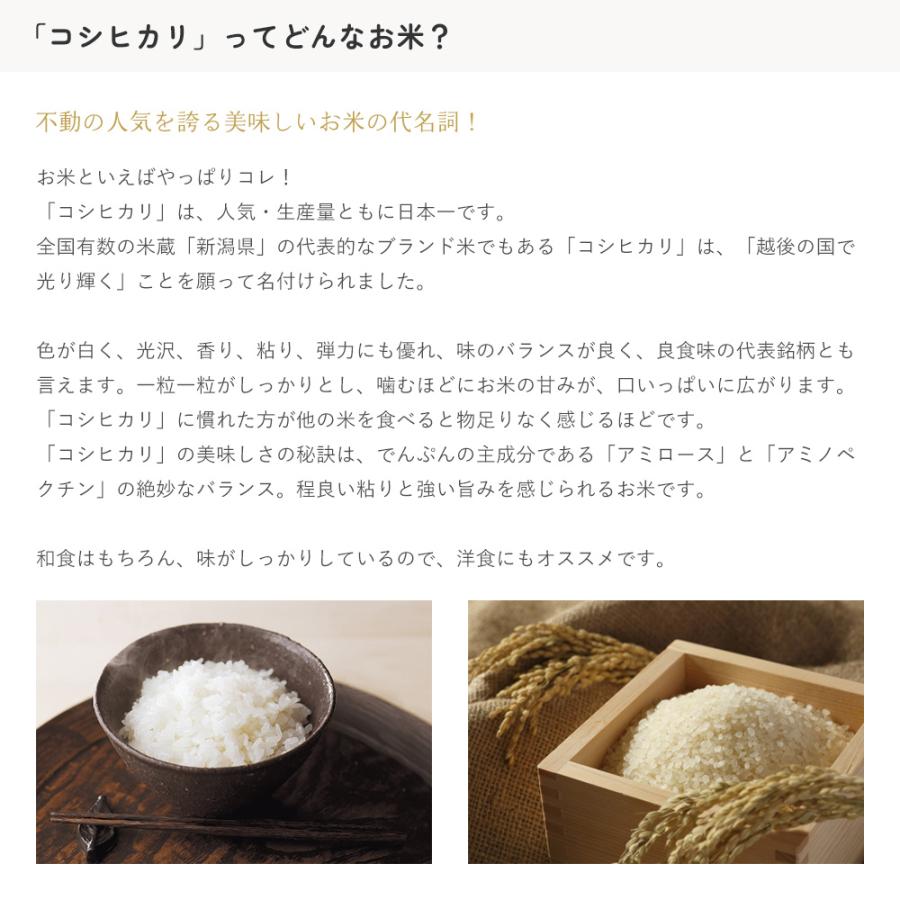 コシヒカリ 10kg(5kg×2袋) 新潟県産 令和5年産 受注生産