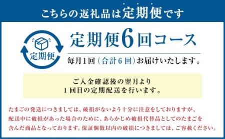  球磨球子 60個入 卵 たまご 鶏卵