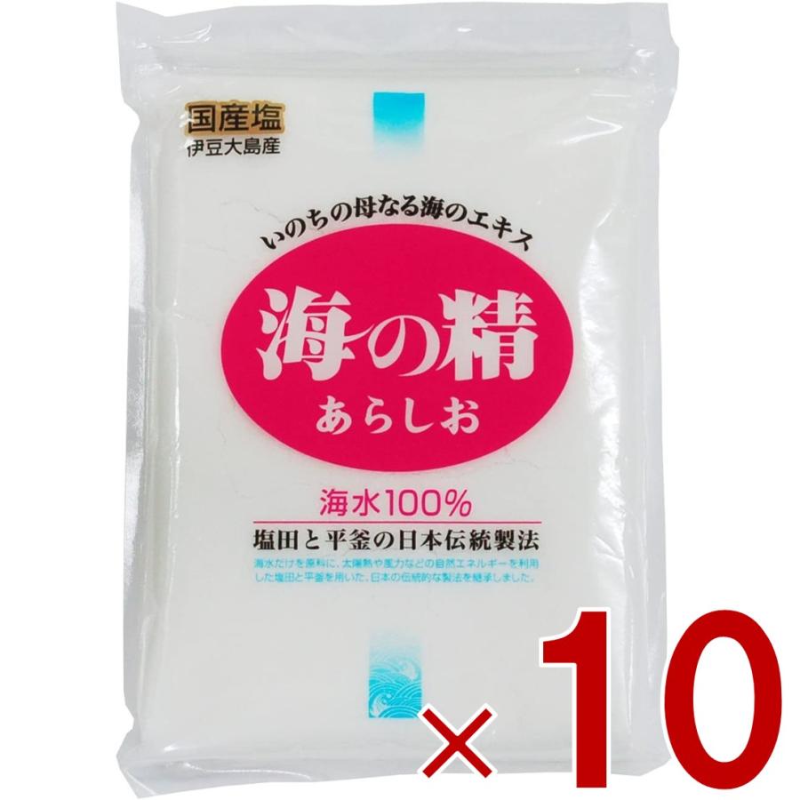 塩 粗塩 あら塩 海の精 あらしお 500g 10個