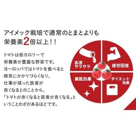 ふるさと納税 66-49フルーツミニトマト1kg 茨城県下妻市