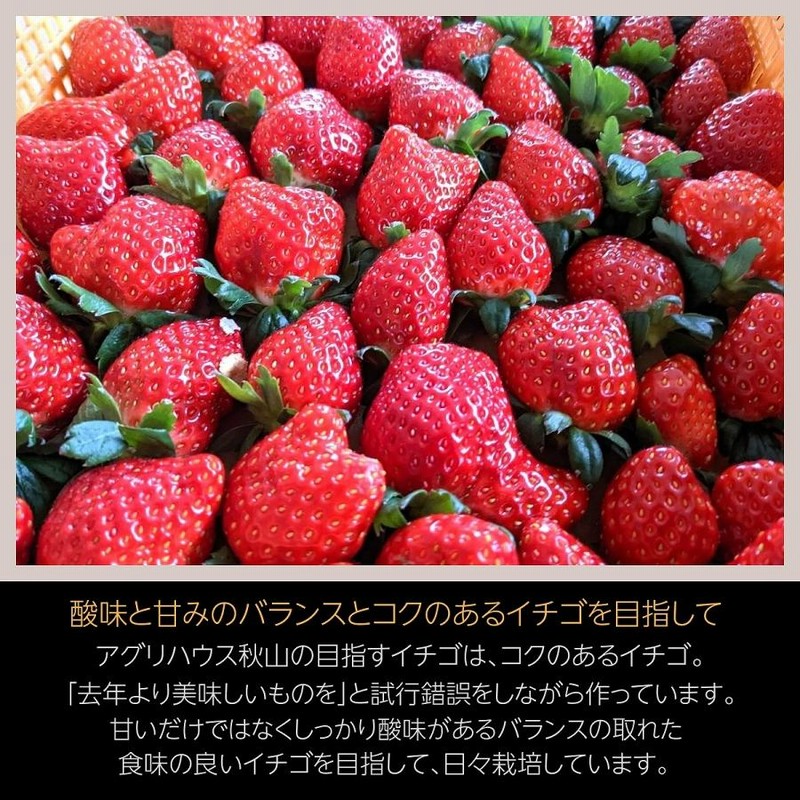 苺　　おまとめ２点 とちあいか（2パック入）2箱 | 長谷川いちご園｜産直通販「ある