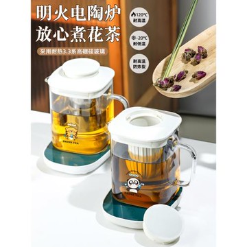 辦公室泡茶壺大容量茶水分離泡茶壺高顏值煮茶壺一人茶具玻璃茶壺