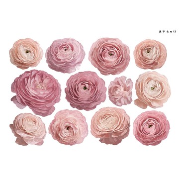 【10月新品4】20-22-0008 裁切紙・拼貼素材 陸蓮花