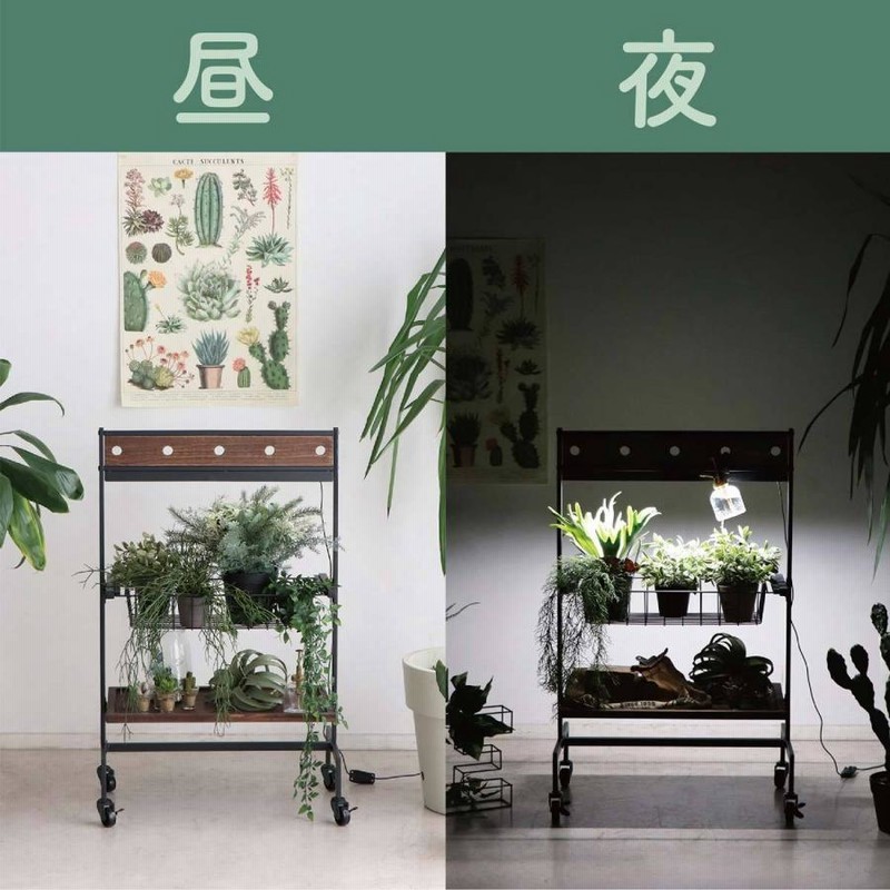 植物 棚 2段 植物用棚 植物棚 プランターワゴン インテリア 植物 棚 2段 植物用棚 植物棚 プランターワゴン インテリア