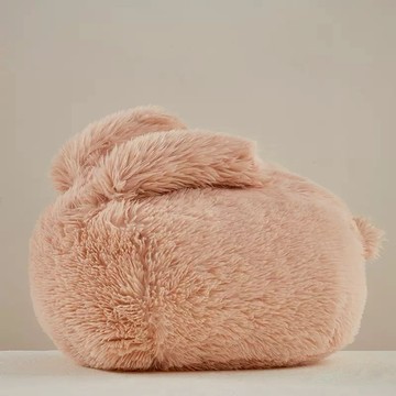 🆕新品上架【梨花瑪雅】柔軟你的🐇弗斯達兔子絨毛抱枕沙發辦公午睡床上靠墊(3色)宜送女生禮物家用💕