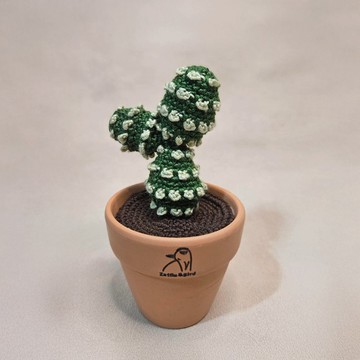 多肉植物-象牙團扇-手作編織植物