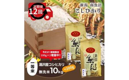 令和5年産 湯沢産コシヒカリ＜無洗米＞10kg（5kg×2袋）精米したてのお米をお届け 