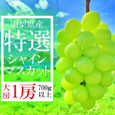 ふるさと納税 笛吹市 山梨県笛吹市産　旬の採れたてシャインマスカット　特選　700g以上　1房