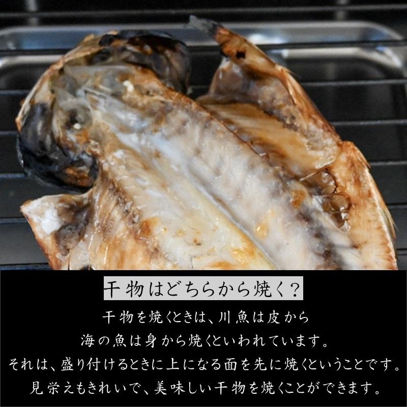 さば文化干し 鯖の干物 6枚(特大サイズ1枚当たり約170g)脂のっています