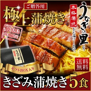 御歳暮 お歳暮 グルメ ギフト うなぎ 蒲焼き 国内産 送料無料 きざみ 5食(山葵×5　きざみ海苔×5) 鹿児島産 海鮮 お誕生日 内祝 ギフトB