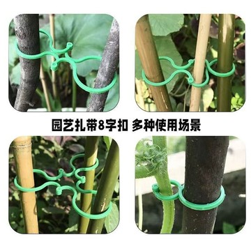 🔥臺灣出貨🔥植物固定夾 固定器 枝條夾 園藝夾 8字卡扣 藤蔓固定器 秧苗爬藤支撐桿 果蔬卡扣 綠植果樹植物卡扣 R