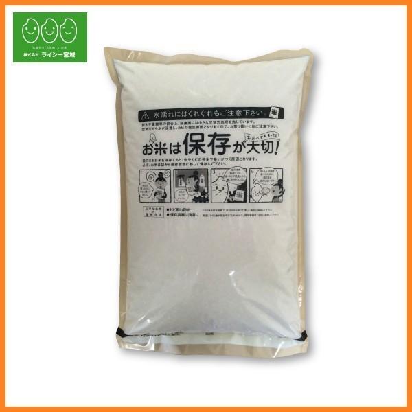 新米 米 10kg ひとめぼれ 岩手県産 米10kg お米 白米 令和5年産 送料無料 5kg×2袋セット