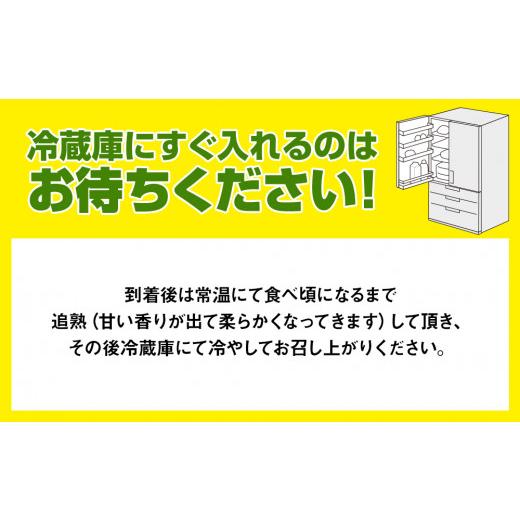 ふるさと納税 沖縄県 南風原町 南国の果物　沖縄県産マンゴー　赤キンコー　1kg