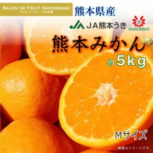 [予約 2023年 12月5日頃から発送] 熊本みかん Mサイズ 約5kg 熊本県産 熊本 JA熊本うき 産地箱 冬ギフト お歳暮 御歳暮